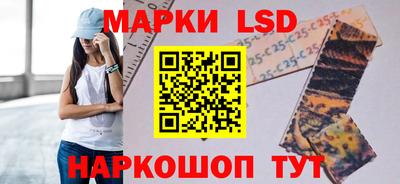 ПСИЛОЦИБИНОВЫЕ ГРИБЫ Кандалакша